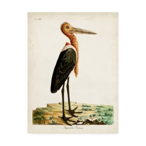 John Latham 'Gigantic Crane' Canvas Art, 24x32, Trademark Fine Art, Mfr#: WAG15003-C2432GG